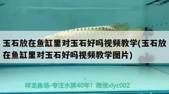 玉石放在魚缸里對玉石好嗎視頻教學(玉石放在魚缸里對玉石好嗎視頻教學圖片)