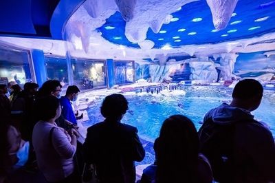 水族館免費開放（徐州市水族展覽館2023年11月13日至17日免費開放）