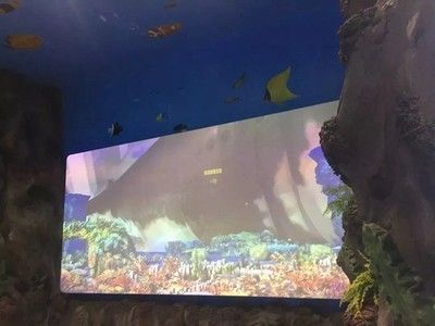 水族館免費(fèi)開放（徐州市水族展覽館2023年11月13日至17日免費(fèi)開放） 水族館免費(fèi)開放（徐州市水族展覽館2023年11月13日至17日免費(fèi)開放） 水族館百科（水族館加盟） 第4張