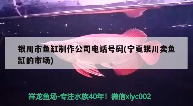 銀川市魚缸制作公司電話號碼(寧夏銀川賣魚缸的市場) 銀川市魚缸制作公司電話號碼(寧夏銀川賣魚缸的市場) 九鼎魚缸