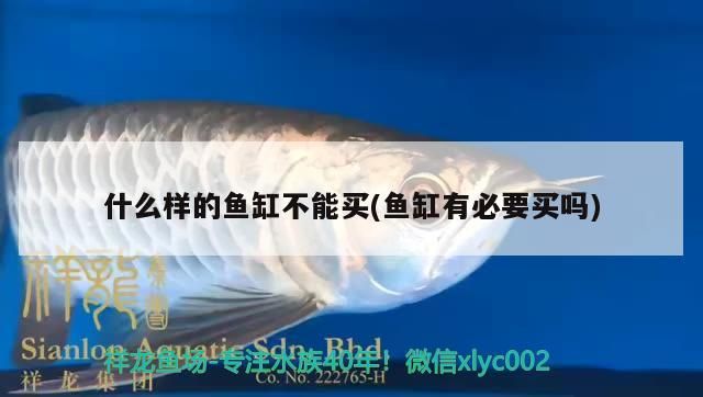 什么樣的魚缸不能買(魚缸有必要買嗎)