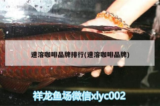 紅龍魚能長(zhǎng)多大？，紅龍魚好養(yǎng)嗎，紅龍魚能長(zhǎng)多大、紅龍魚好養(yǎng)嗎
