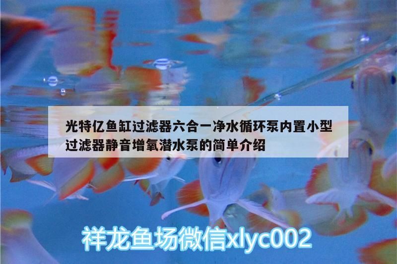 光特億魚缸過濾器六合一凈水循環泵內置小型過濾器靜音增氧潛水泵的簡單介紹