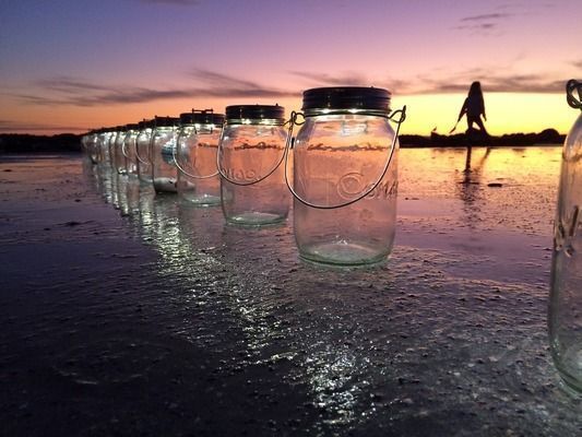 龍魚白色vs祥龍魚場：龍魚白色vs祥龍魚場口碑評價龍魚市場價格對比 龍魚白色vs祥龍魚場：龍魚白色vs祥龍魚場口碑評價龍魚市場價格對比 vs祥龍魚場 第4張