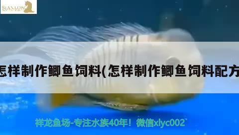 怎樣制作鯽魚飼料(怎樣制作鯽魚飼料配方)