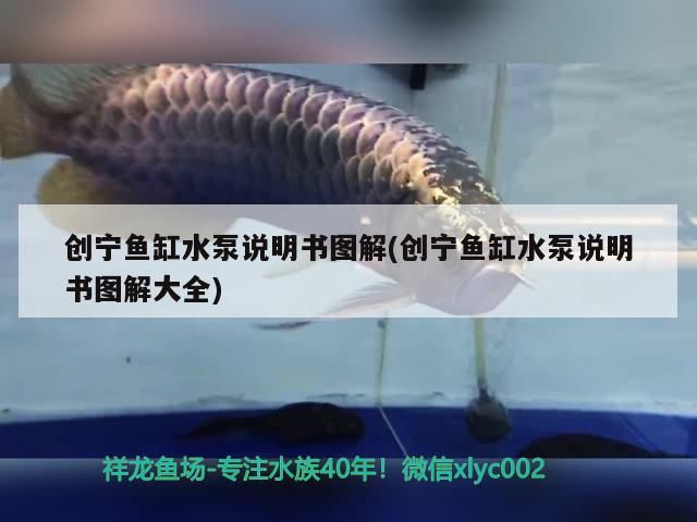 創寧魚缸水泵說明書圖解(創寧魚缸水泵說明書圖解大全)
