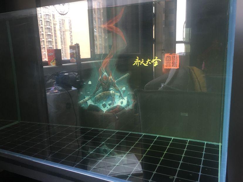 吉印和郎峰哪個養金魚爆苔效果好 吉印和郎峰哪個養金魚爆苔效果好 吉印水族 第2張