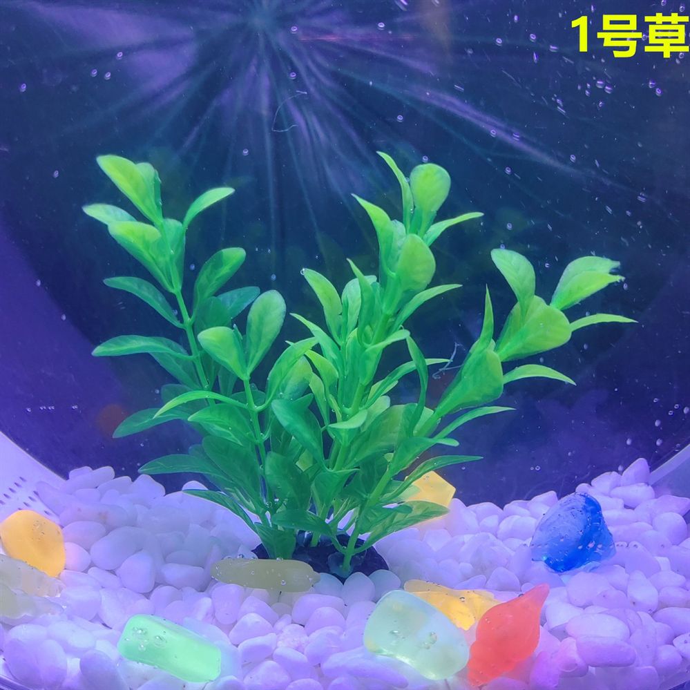 1號水族魚缸：1號水族魚缸寓意文化與水族產品相結合讓水族產品充滿美好祝福