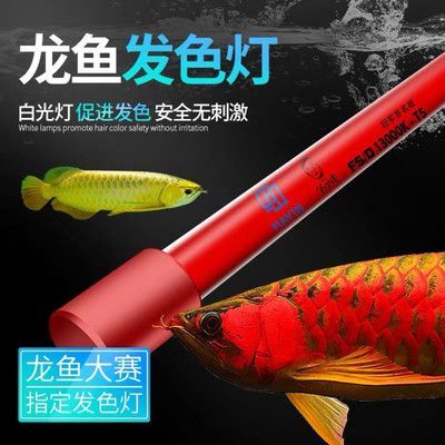 馬印的發色燈怎么樣：馬印發色燈在市場上有著一定的認可度