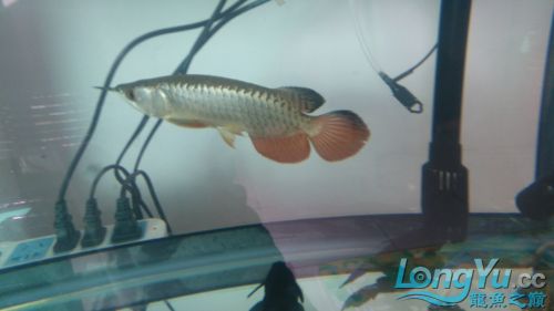 高手看看是過背嗎？