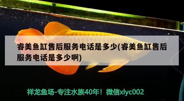 威海二手魚缸轉讓58同城信息（ 威海二手漁船出售轉讓信息）