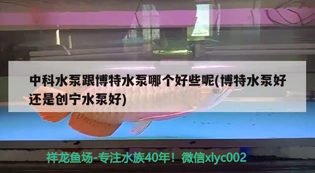 中科水泵跟博特水泵哪個好些呢(博特水泵好還是創寧水泵好)