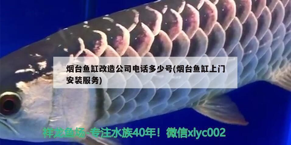 煙臺魚缸改造公司電話多少號(煙臺魚缸上門安裝服務)