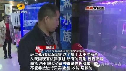 水族館辦營業執照屬于哪一類（水族館辦理營業執照流程）