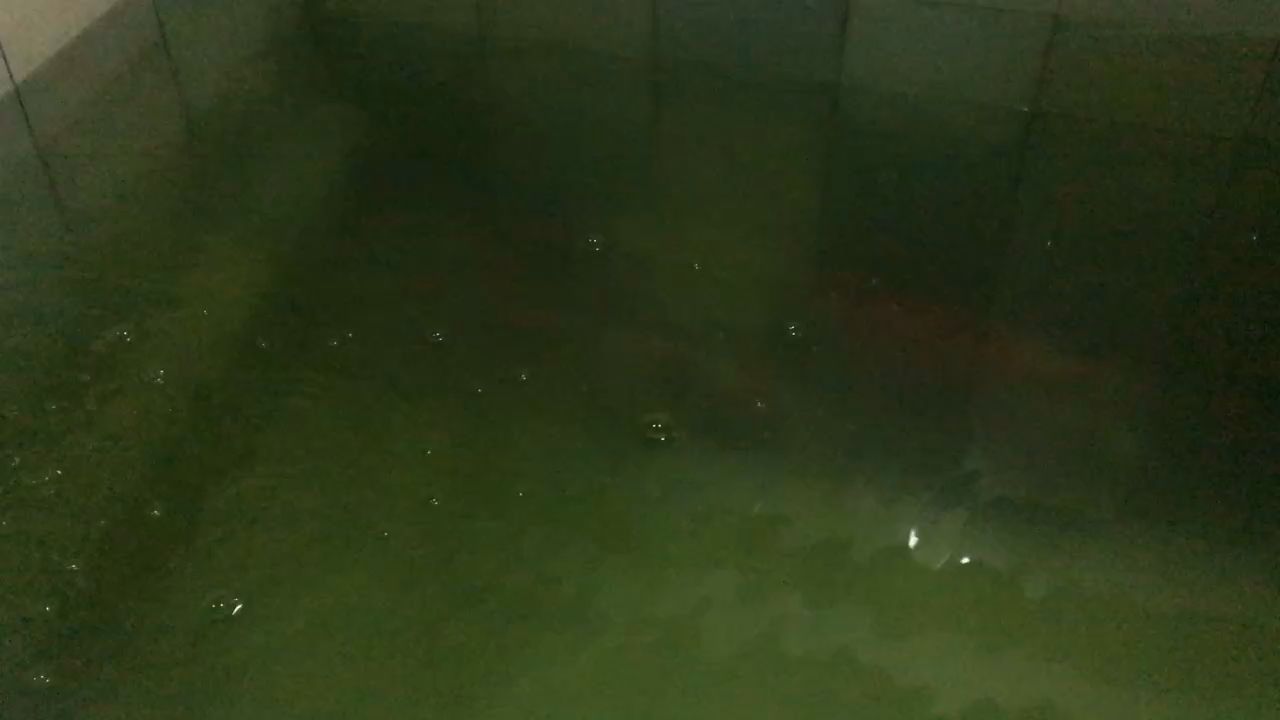 西寧水族批發市場電話號碼查詢（ 西寧水族館在哪里）