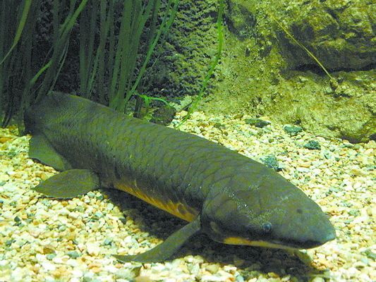 滄州可麗愛魚缸專賣店，打造您的水族世界