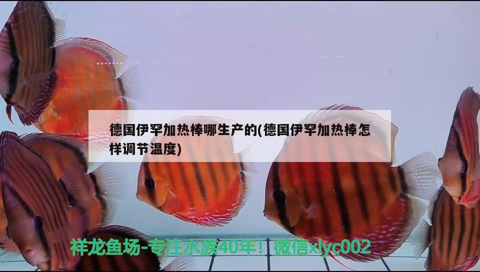 德國伊罕加熱棒哪生產的(德國伊罕加熱棒怎樣調節溫度)