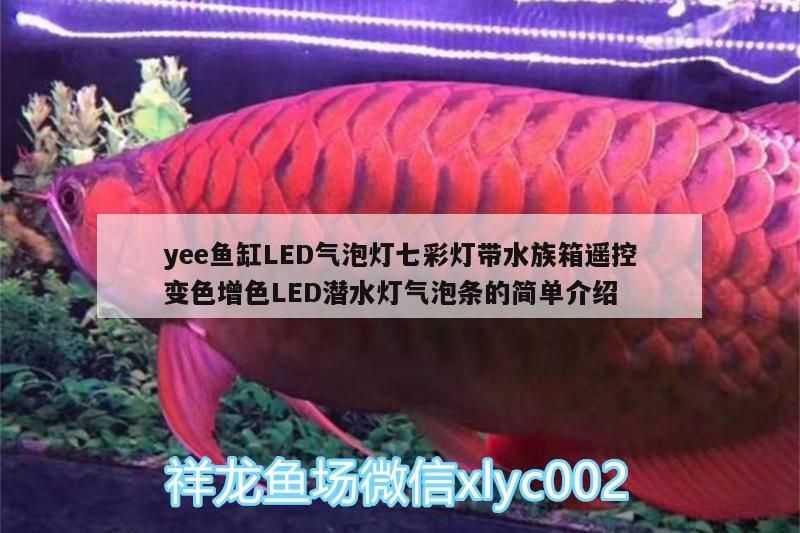 yee魚缸LED氣泡燈七彩燈帶水族箱遙控變色增色LED潛水燈氣泡條的簡單介紹