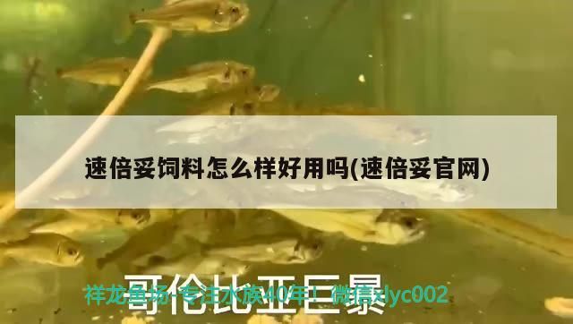 速倍妥飼料怎么樣好用嗎(速倍妥官網) 速倍妥飼料怎么樣好用嗎(速倍妥官網) 速倍妥