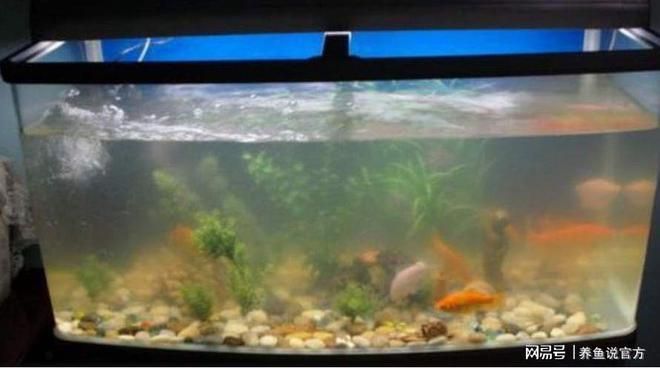 老魚匠售后怎么樣（老魚匠售后怎么樣知乎）