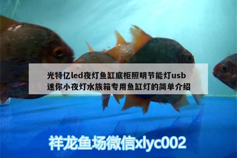 光特億led夜燈魚缸底柜照明節能燈usb迷你小夜燈水族箱專用魚缸燈的簡單介紹