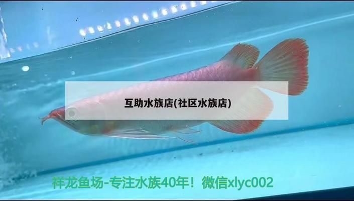 祥龍水族館加盟賺錢嗎現在怎么樣了（水族館加盟優勢分析）