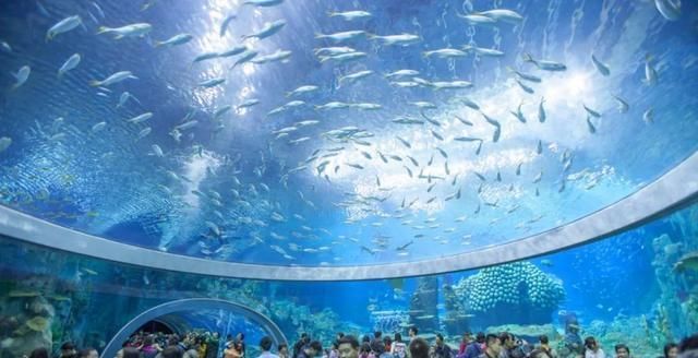全世界水族館排名:全世界著名水族館排名 水族館百科(水族館加盟) 第3張 全世界水族館排名:全世界著名水族館排名 全世界水族館排名:全世界著名水族館排名 水族館百科(水族館加盟) 第3張