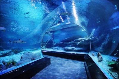 全世界水族館排名:全世界著名水族館排名 水族館百科(水族館加盟) 第5張 全世界水族館排名:全世界著名水族館排名 全世界水族館排名:全世界著名水族館排名 水族館百科(水族館加盟) 第5張