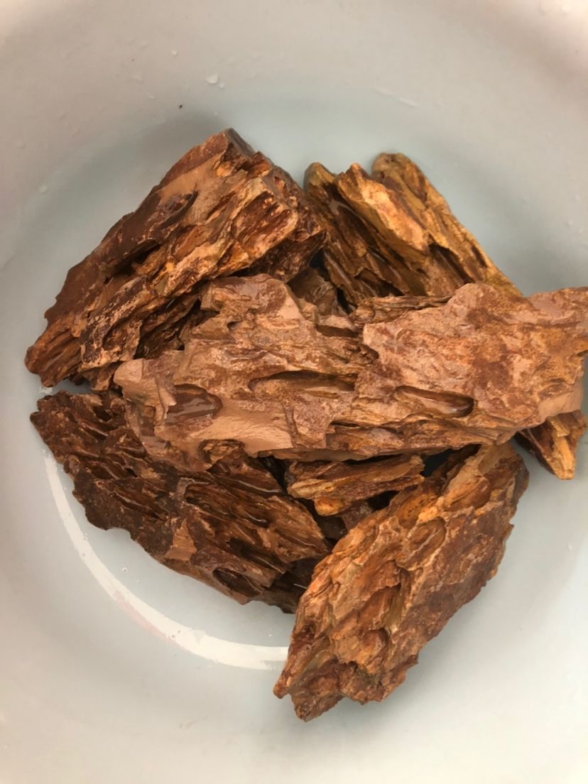 烏龜開心的表現是什么怎么讓烏龜開心