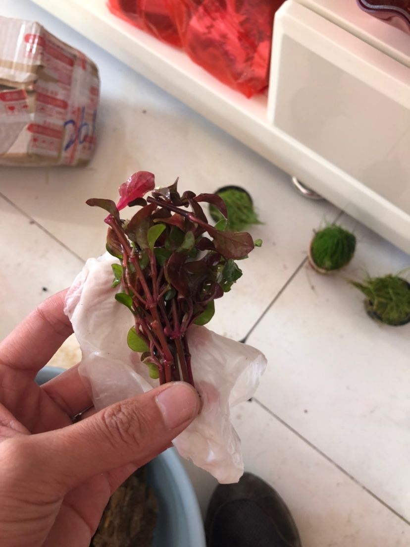 烏龜開心的表現是什么怎么讓烏龜開心