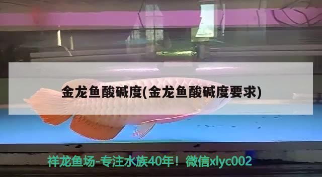 金龍魚酸堿度(金龍魚酸堿度要求)