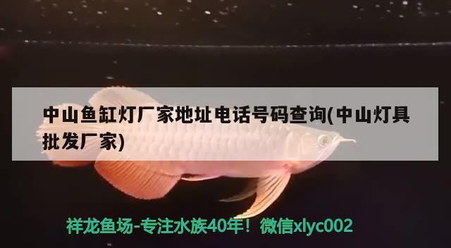 中山魚缸燈廠家地址電話號碼查詢(中山燈具批發廠家)