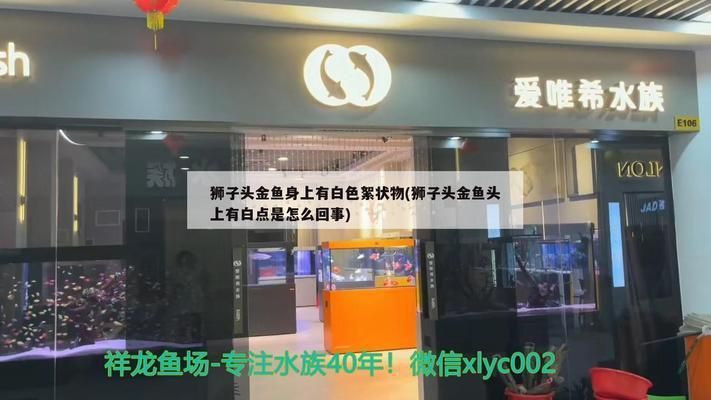 龍魚身上起了一層白霜是什么vs祥龍魚場(chǎng)：龍魚白霜病因及防治祥龍魚場(chǎng)龍魚常見疾病預(yù)防措施