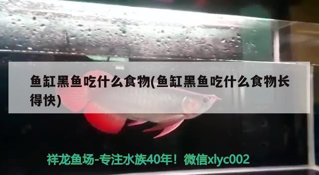 嶧城水族店(棗莊水族館)