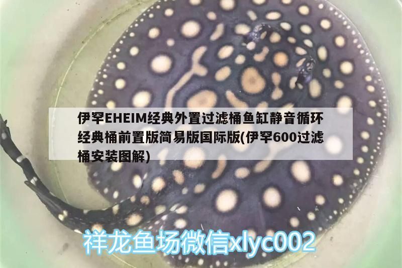 伊罕EHEIM經典外置過濾桶魚缸靜音循環經典桶前置版簡易版國際版(伊罕600過濾桶安裝圖解)