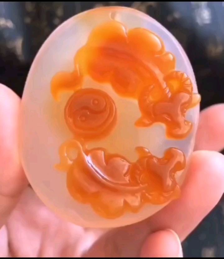 西固區(qū)柒星照花卉店