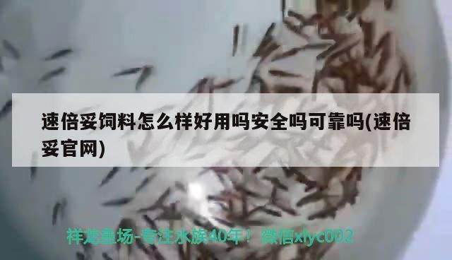 速倍妥飼料怎么樣好用嗎安全嗎可靠嗎(速倍妥官網)