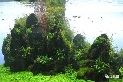 ADA魚缸造景石：ada魚缸造景石的種類及其特點