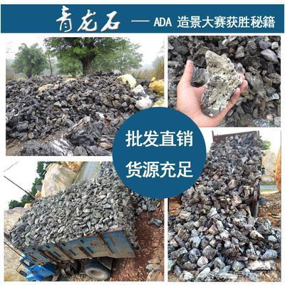 ADA魚缸造景石：ada魚缸造景石的種類及其特點