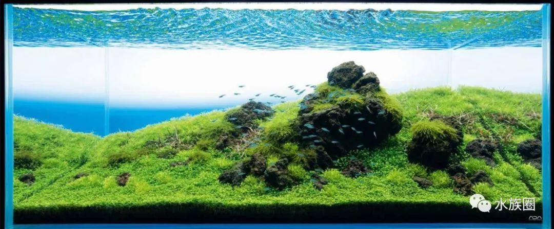ADA魚缸造景石：ada魚缸造景石的種類及其特點