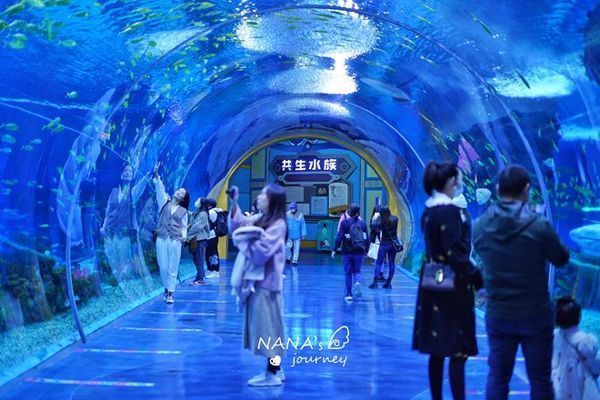 水族館哪個地方的好玩：全球著名的水族館