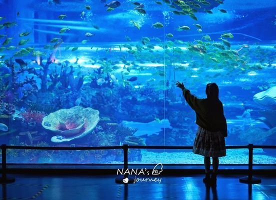 水族館哪個地方的好玩：全球著名的水族館