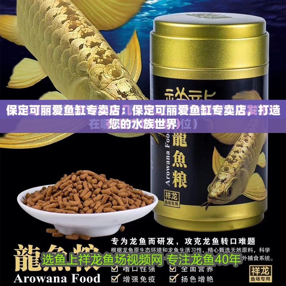 保定可麗愛魚缸專賣店：保定可麗愛魚缸專賣店，打造您的水族世界