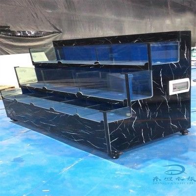 魟魚魚池：魟魚魚池的建設(shè)與養(yǎng)護(hù)