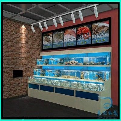 魟魚魚池：魟魚魚池的建設(shè)與養(yǎng)護(hù)