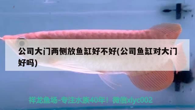 公司大門兩側放魚缸好不好(公司魚缸對大門好嗎)
