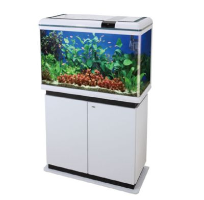 水族館生物過濾系統(tǒng)的最新進(jìn)展（水族館生物過濾系統(tǒng)的發(fā)展趨勢(shì)）