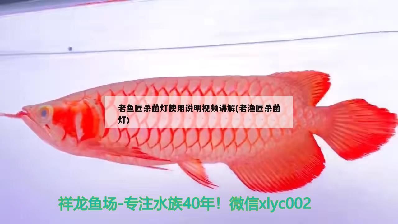 老魚匠殺菌燈使用說明視頻講解(老漁匠殺菌燈)