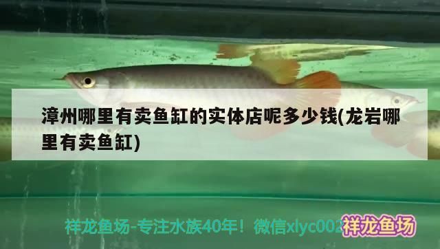 漳州哪里有賣(mài)魚(yú)缸的實(shí)體店呢多少錢(qián)(龍巖哪里有賣(mài)魚(yú)缸)