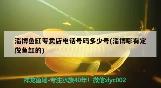 紅龍魚用黃燈烤有用嗎 淄博魚缸專賣店電話號(hào)碼多少號(hào)(淄博哪有定做魚缸的) 九鼎魚缸 淄博魚缸專賣店電話號(hào)碼多少號(hào)(淄博哪有定做魚缸的) 淄博魚缸專賣店電話號(hào)碼多少號(hào)(淄博哪有定做魚缸的) 九鼎魚缸